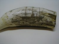 Corne de morse gravée : un trois mâts